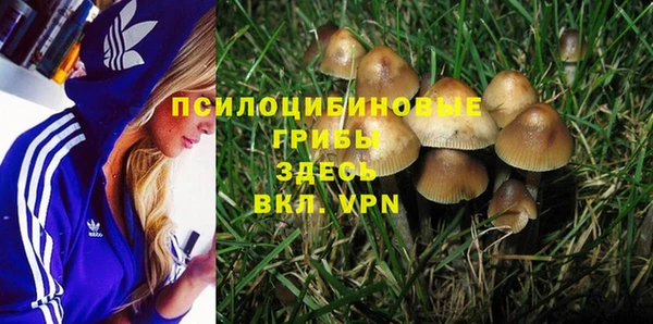хмурый Абинск